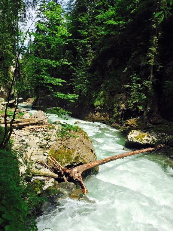 Hotel Garni Regina Oberstdorf Eksteriør billede